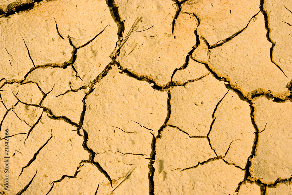 Drought Drought