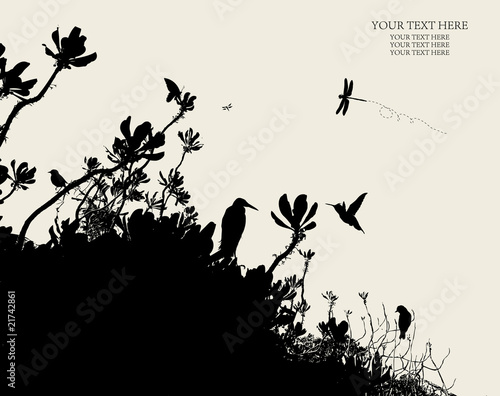 tree
