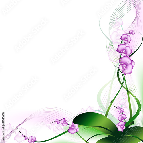 orchid