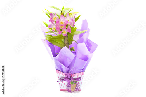 Pink orchids in special ccasion gift arrangement vase