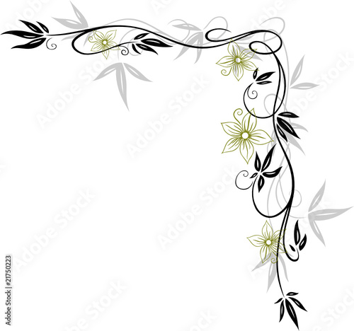 Blätter, Laub, Herbst, filigran, floral, leafes, autumn