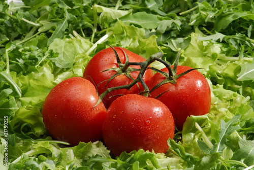 Tomates con lechuga. photo