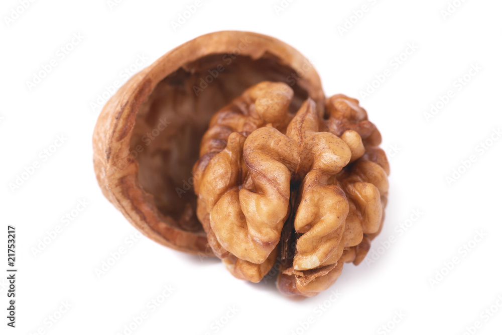 Walnut and shell Walnut and shell