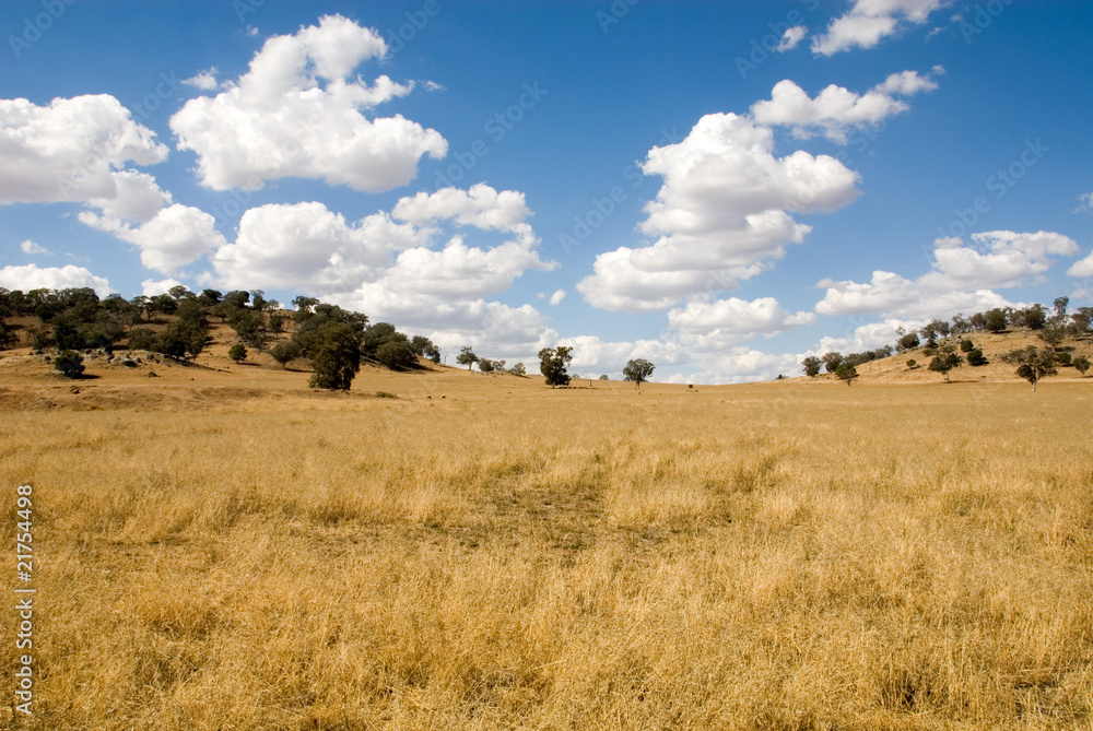 Fototapeta premium Rural Scene