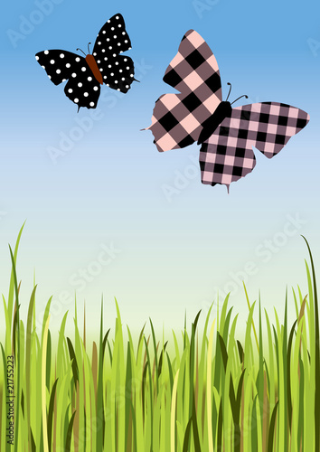butterflys, grass