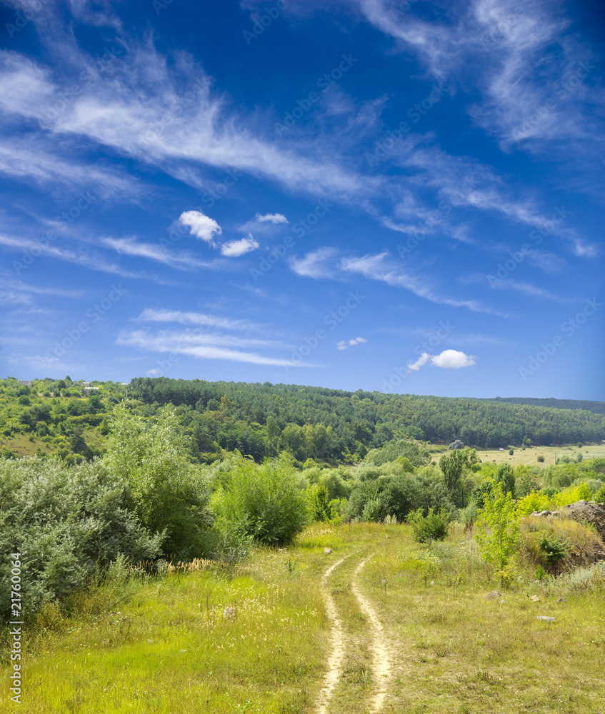 Obraz premium landscape