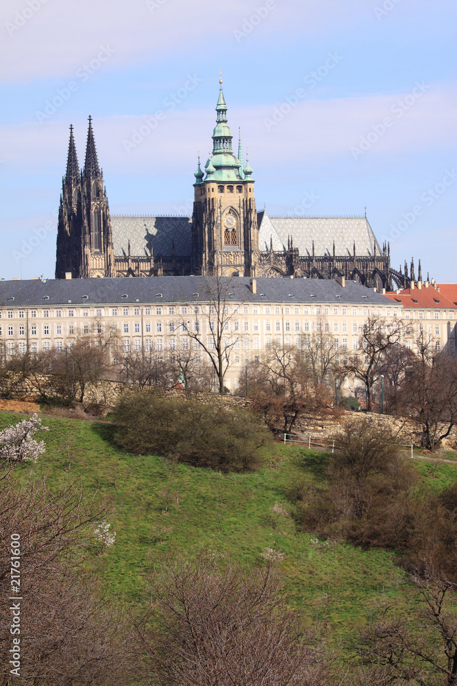 The View on the spring Prague gothic Castle