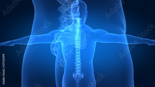 Correct posture concept with visible spine