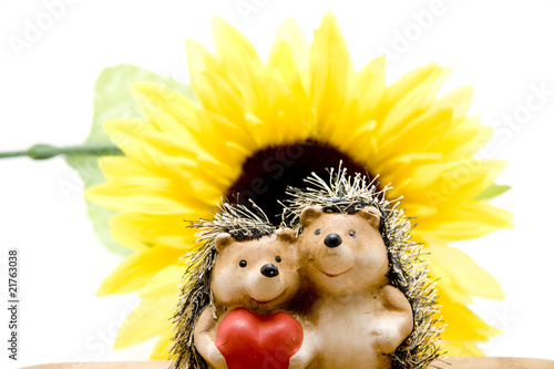 Igelpaar vor Sonnenblume © UMA
