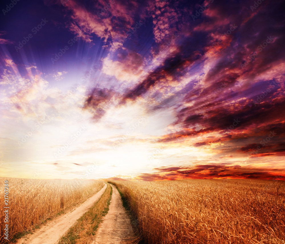 Obraz premium Landscape