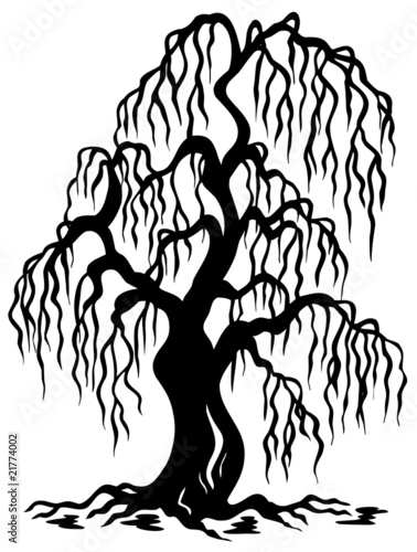 Willow tree silhouette