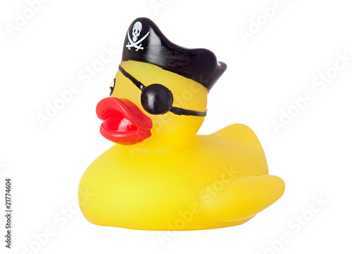 Funny pirate duck