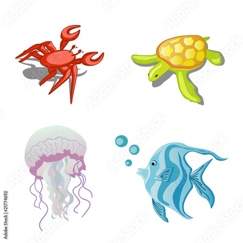 Sea animals crab, jellyfish, turtle and fish