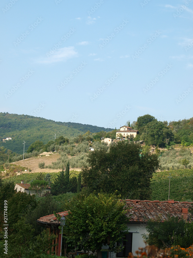 Villa in Tuscany amongst vineyards and an olive groves