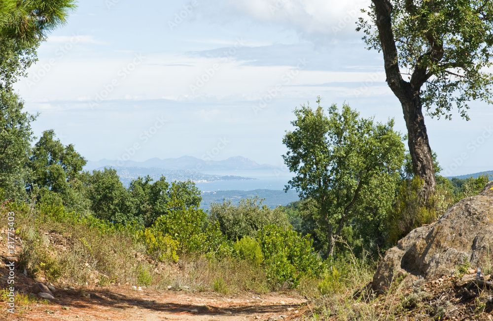 Fototapeta premium Massif des Maures