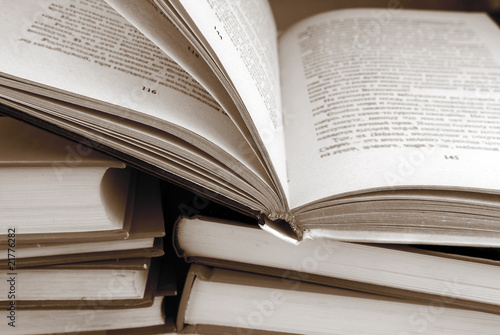 Canvastavla books in sepia color