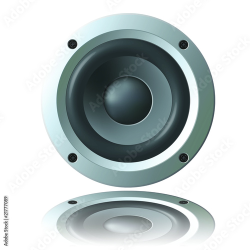 Audio Woofer