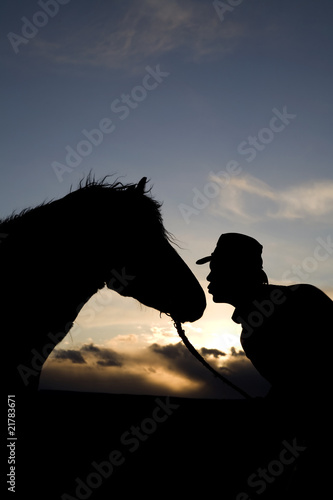 Man kissing horse