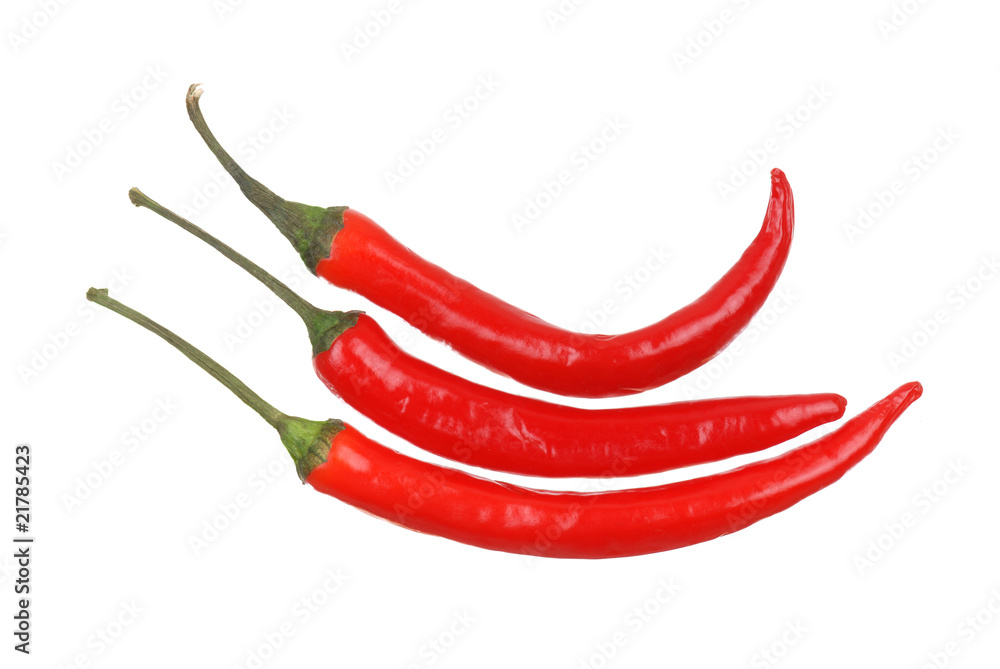Red hot chili pepper on white