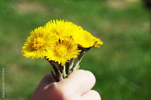 Kleiner Junge verschenkt selbstgepflückte Blumen