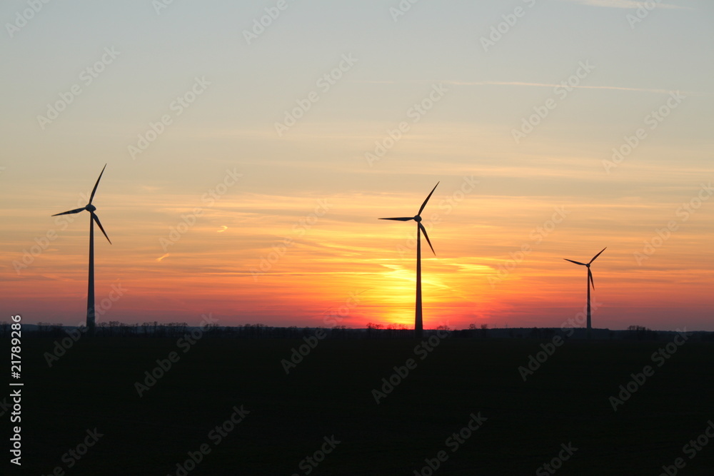Abend am Windpark Abend am Windpark