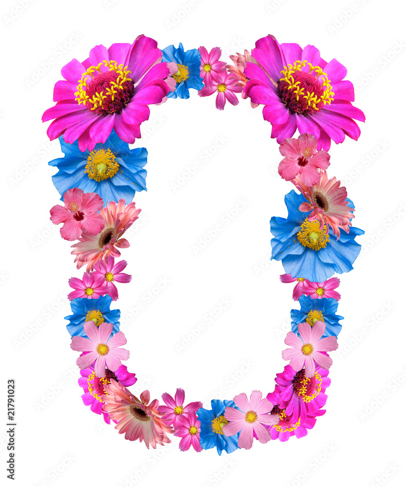 beautiful flower frame beautiful flower frame