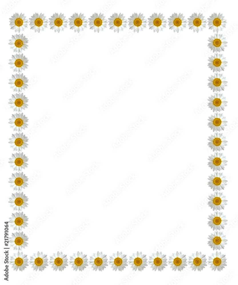 beautiful flower frame beautiful flower frame