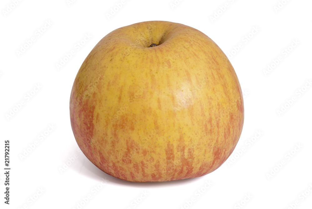 Apples Apples