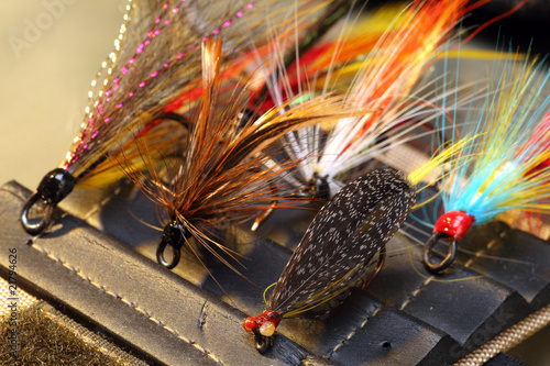 Fly Fishing Lure