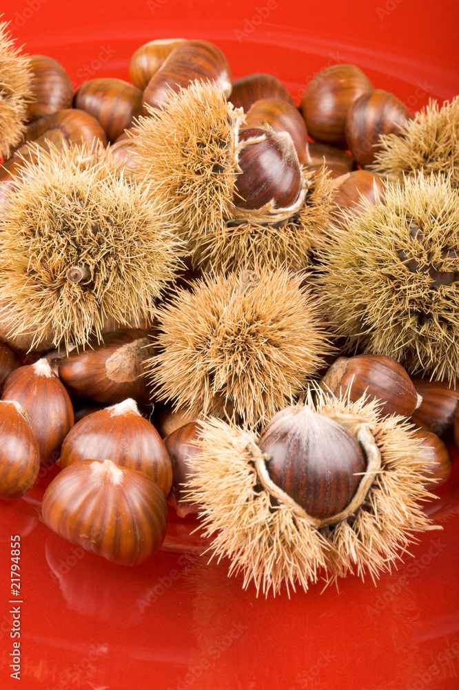 Sweet chestnuts and chestnut husks on red plate Sweet chestnuts and chestnut husks on red plate