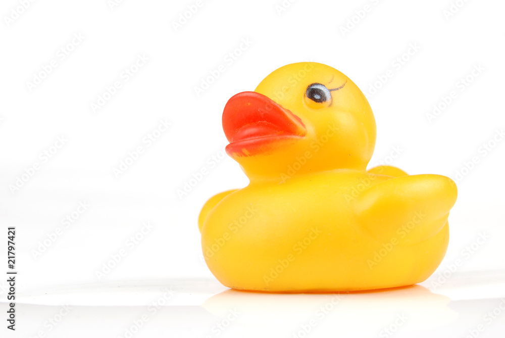 rubber duck rubber duck