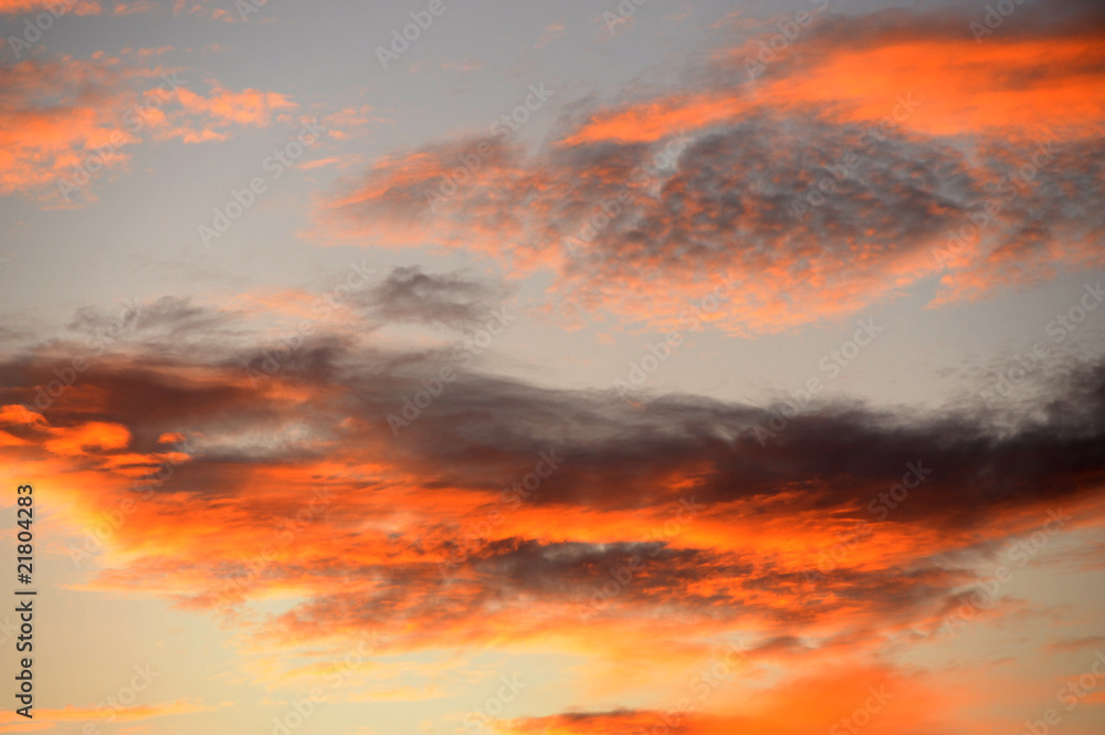 Fototapeta premium paesaggio 859