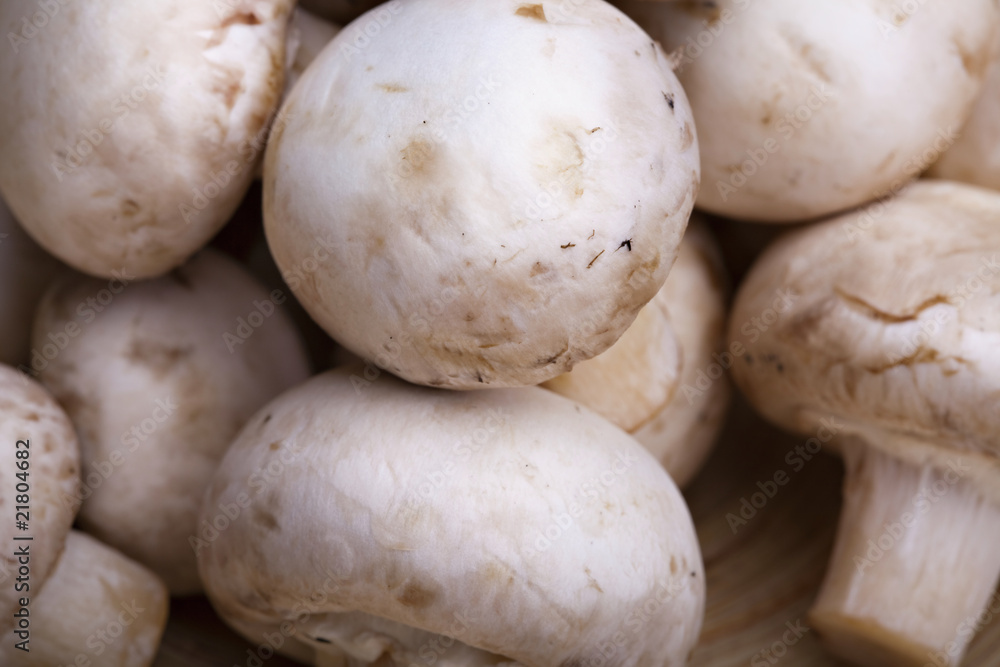 Edible white button or champignon mushrooms Edible white button or champignon mushrooms