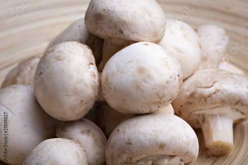Edible white button or champignon mushrooms