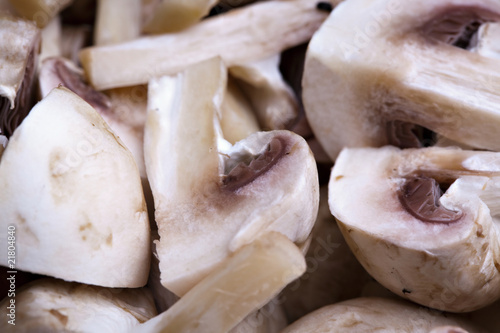 Edible white button or champignon mushrooms