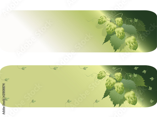 hops plant background