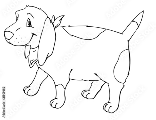 Hund, Halstuch, Freund, gassi, spazieren, Kumpel