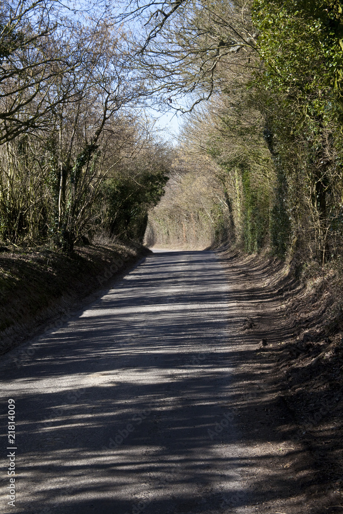 Fototapeta premium Rural country lane Hampshire, England.