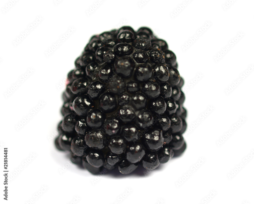 Blackberry bonbon on white
