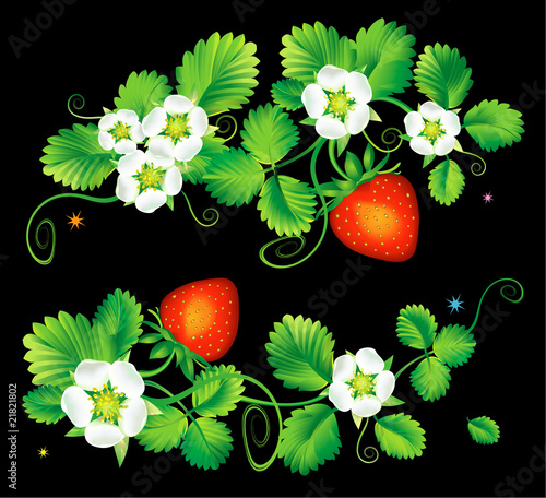 Decorative element, starwberry flowering