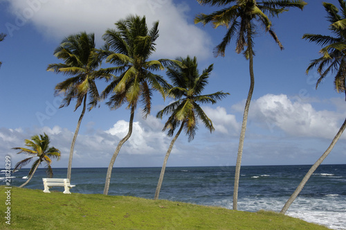 France, Martinique, la côte à Sainte Marie photo