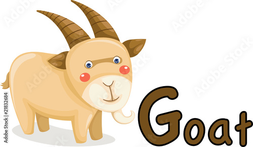 alphabet G for goat
