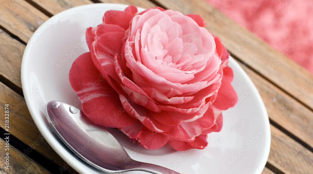 rosa e cucchiaino rosa e cucchiaino