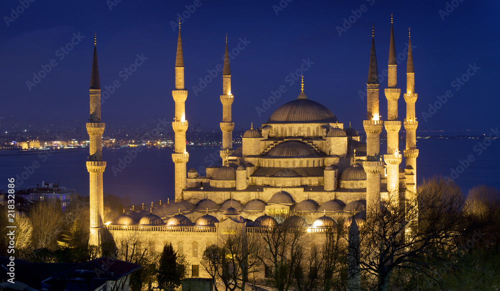 Fototapeta premium Blue mosque Istanbul