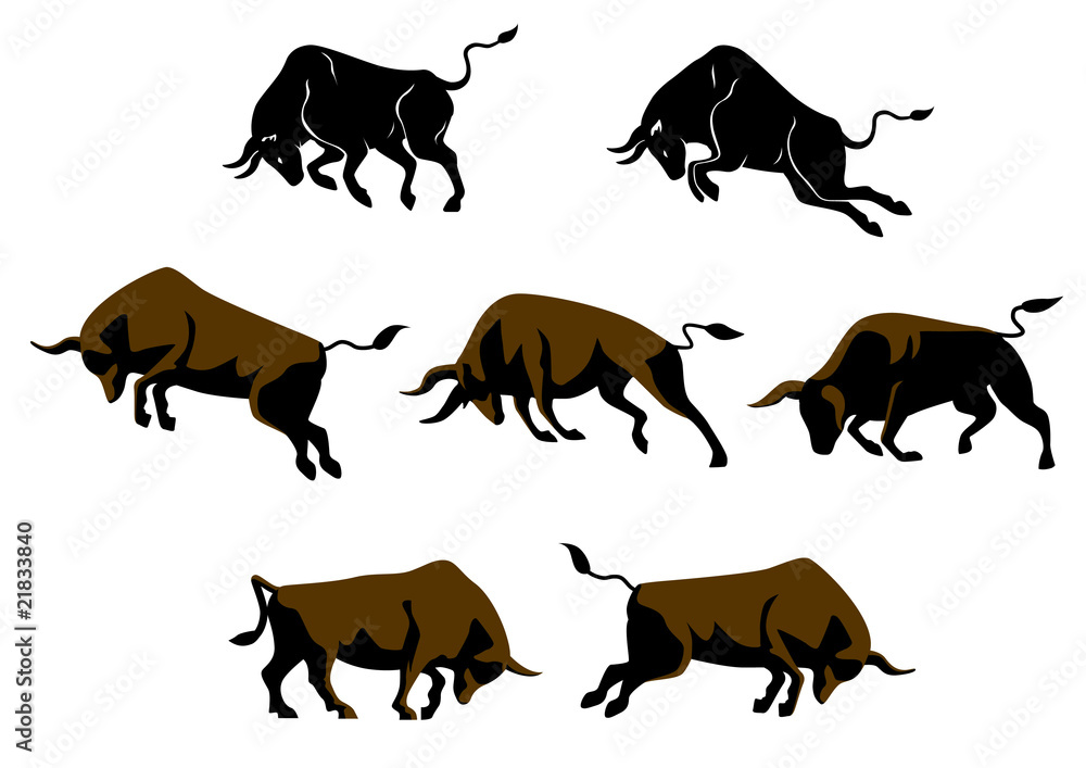 Obraz premium 雄牛