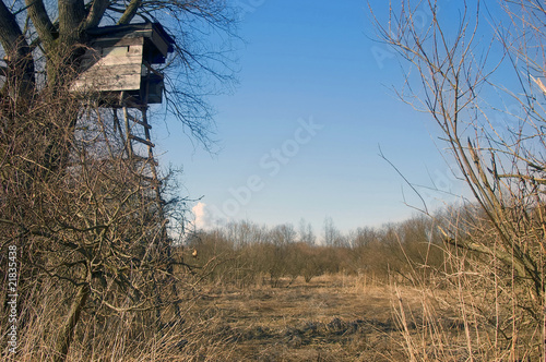 Anitz am Rande des Vogelreservats in Windischleuba photo