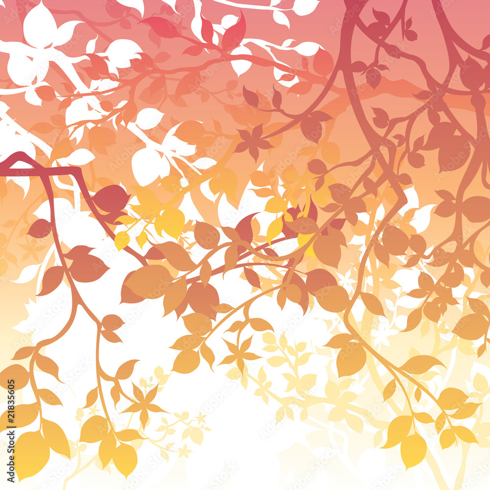 Spring Background Spring Background