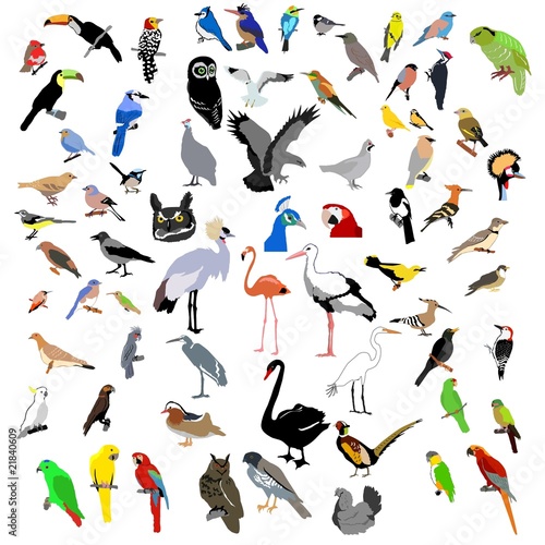 vector color clip-art of bids