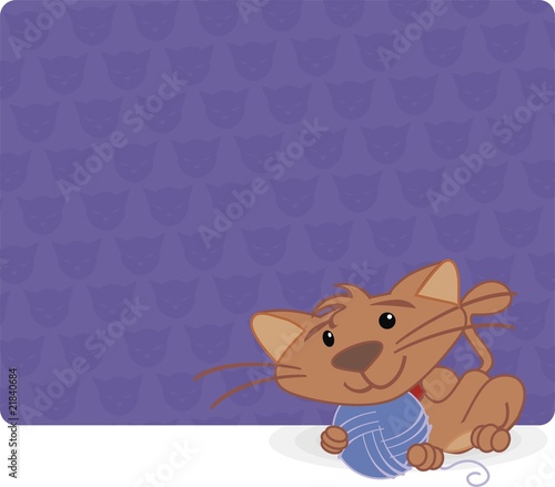 cat and wool