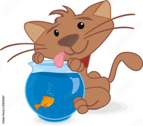 cat and fish